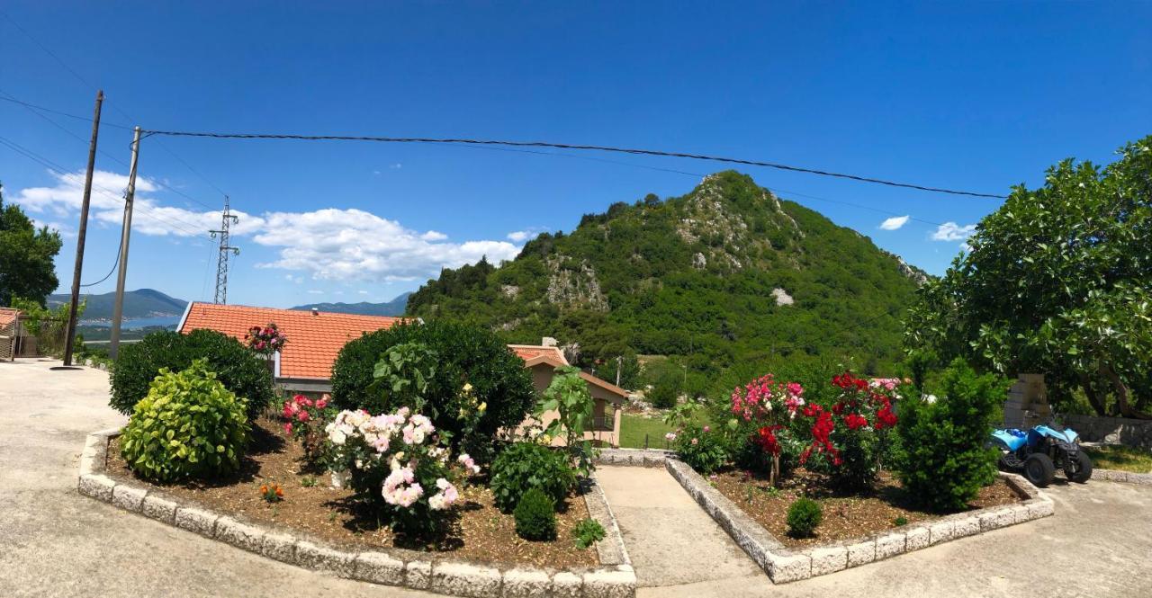 Albomi Apartment Kotor Luaran gambar